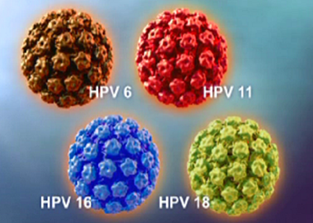Tìm hiểu về HPV gây bệnh sùi mào gà