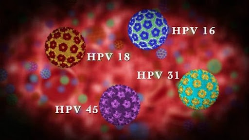 Tìm hiểu về HPV